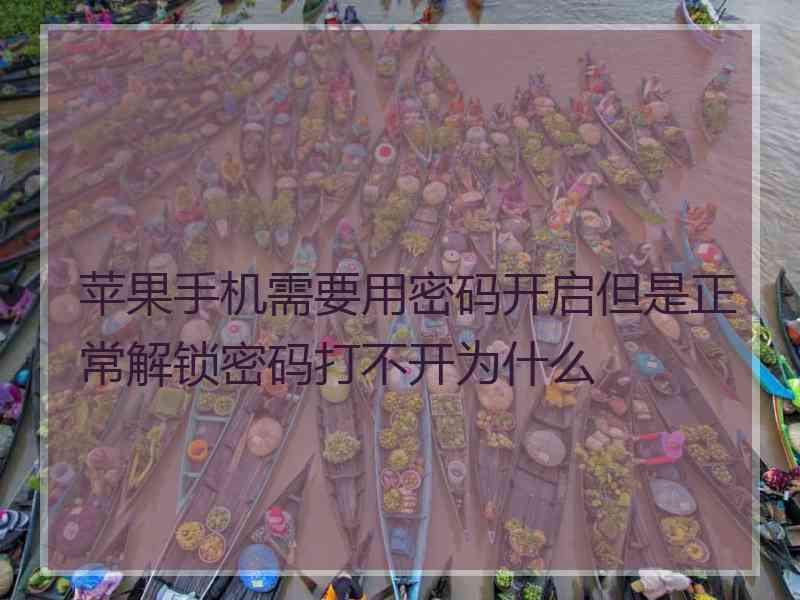 苹果手机需要用密码开启但是正常解锁密码打不开为什么