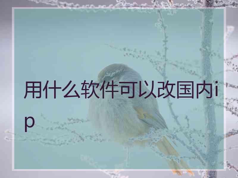 用什么软件可以改国内ip
