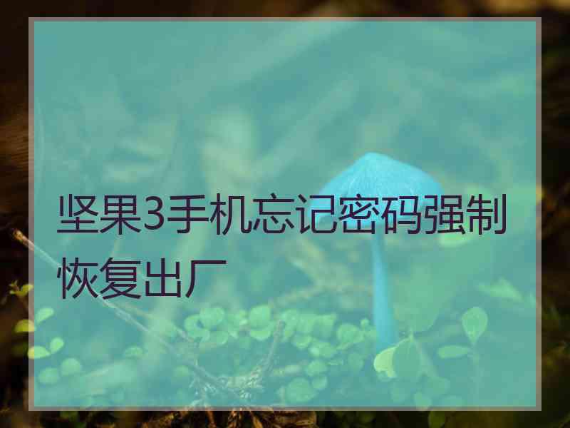 坚果3手机忘记密码强制恢复出厂
