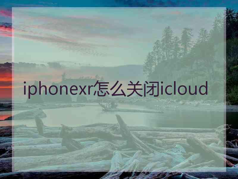 iphonexr怎么关闭icloud