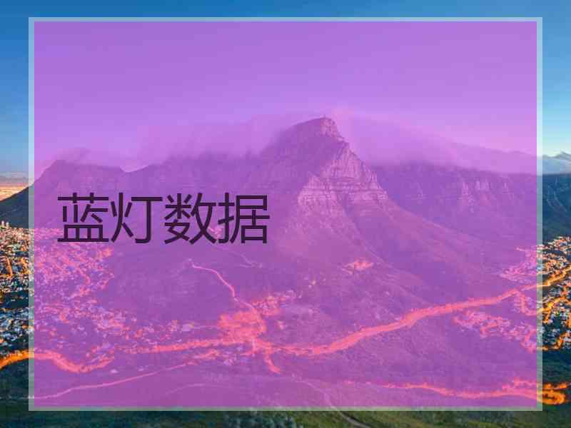 蓝灯数据