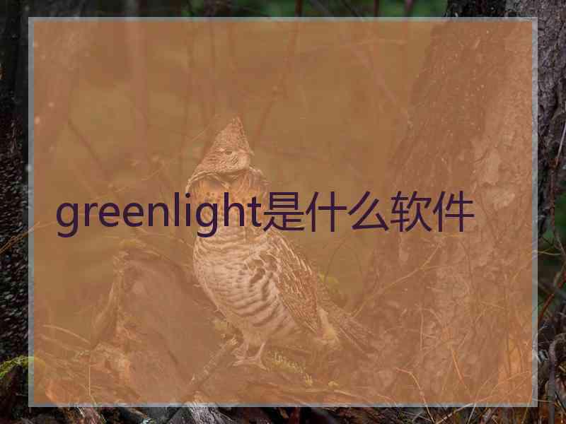 greenlight是什么软件