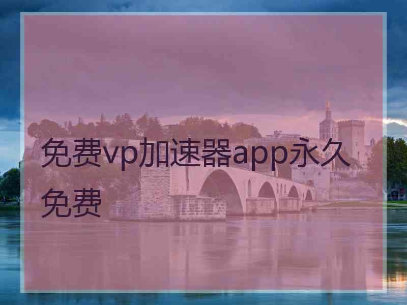 免费vp加速器app永久免费