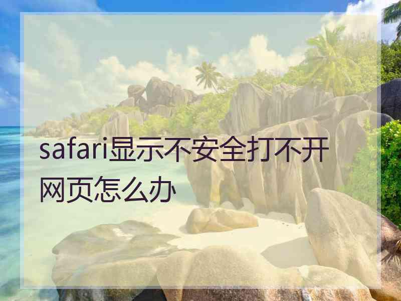 safari显示不安全打不开网页怎么办