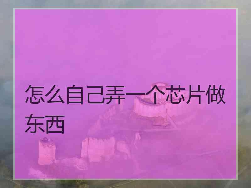 怎么自己弄一个芯片做东西