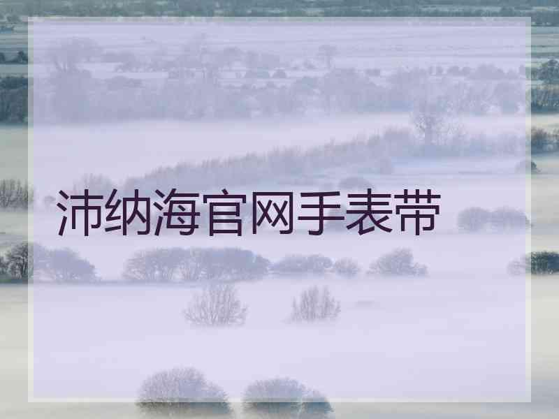 沛纳海官网手表带