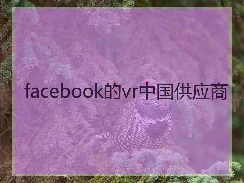 facebook的vr中国供应商