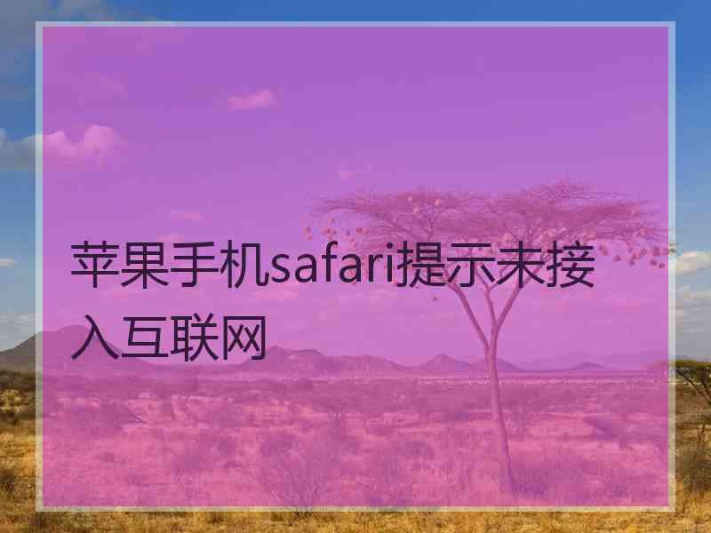 苹果手机safari提示未接入互联网