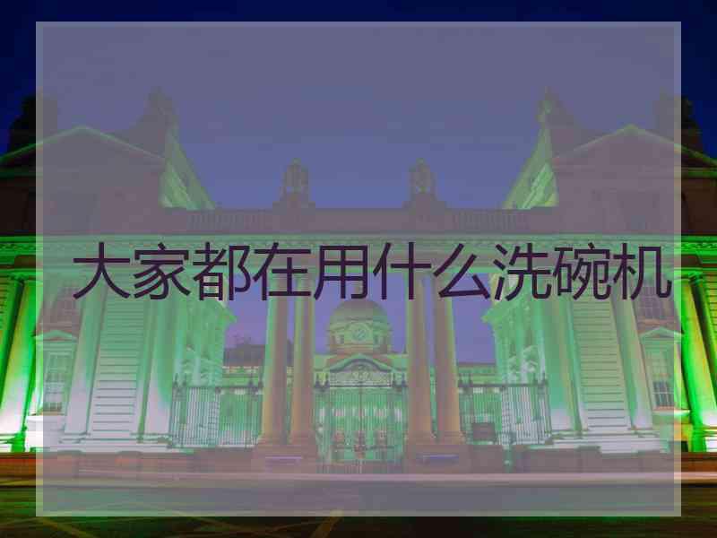 大家都在用什么洗碗机