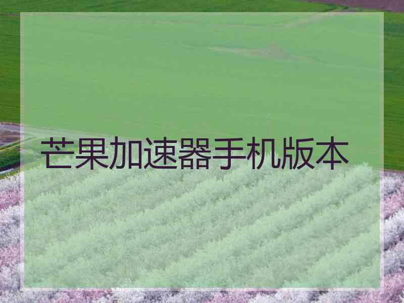 芒果加速器手机版本