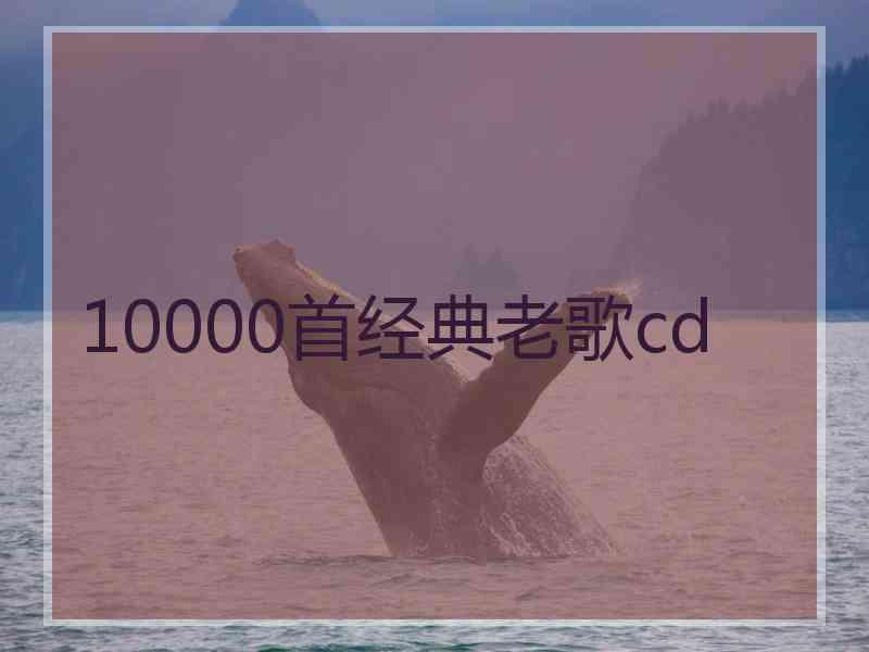 10000首经典老歌cd