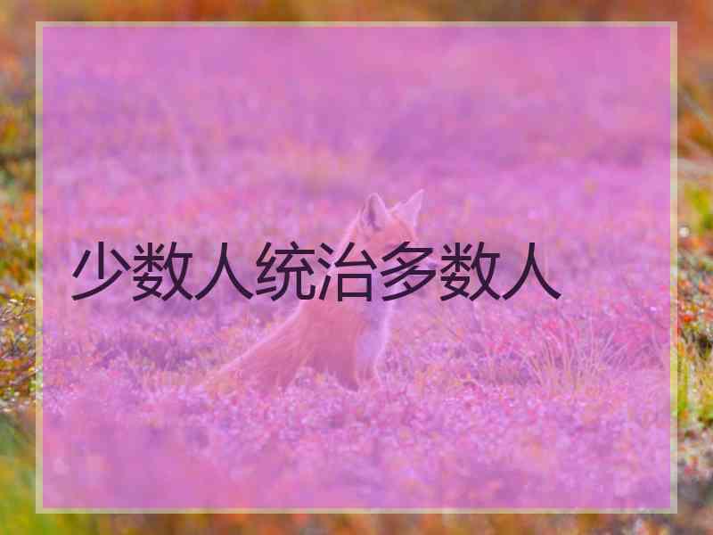 少数人统治多数人