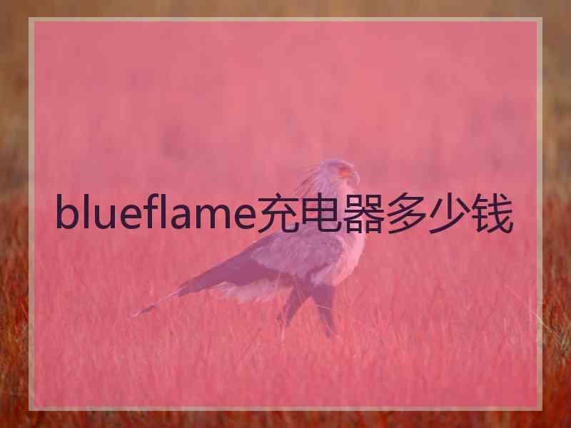 blueflame充电器多少钱