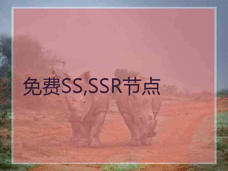 免费SS,SSR节点