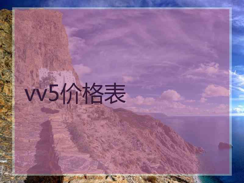 vv5价格表