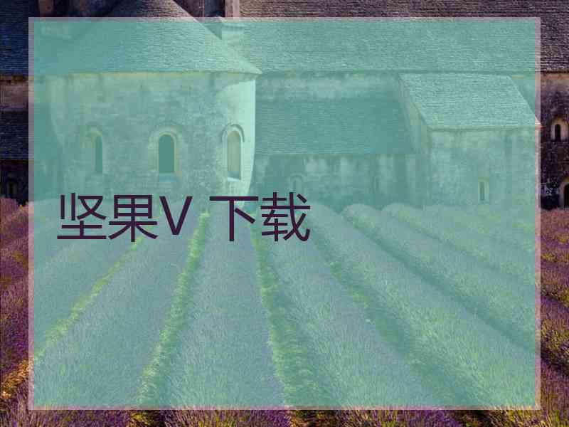 坚果V 下载