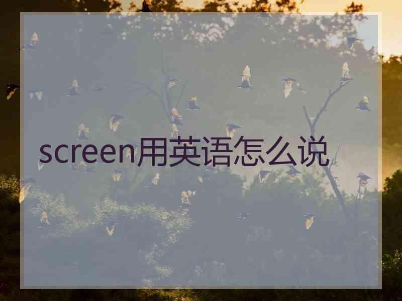 screen用英语怎么说
