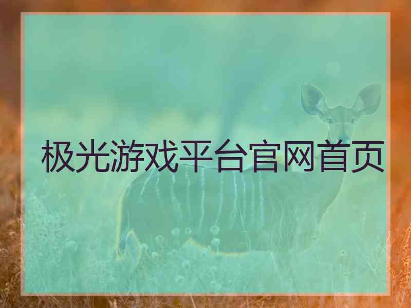 极光游戏平台官网首页