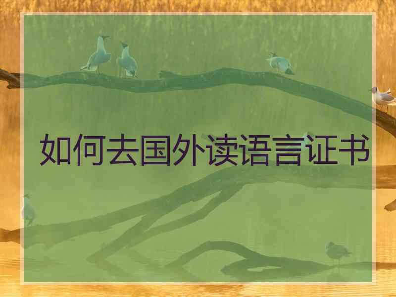 如何去国外读语言证书