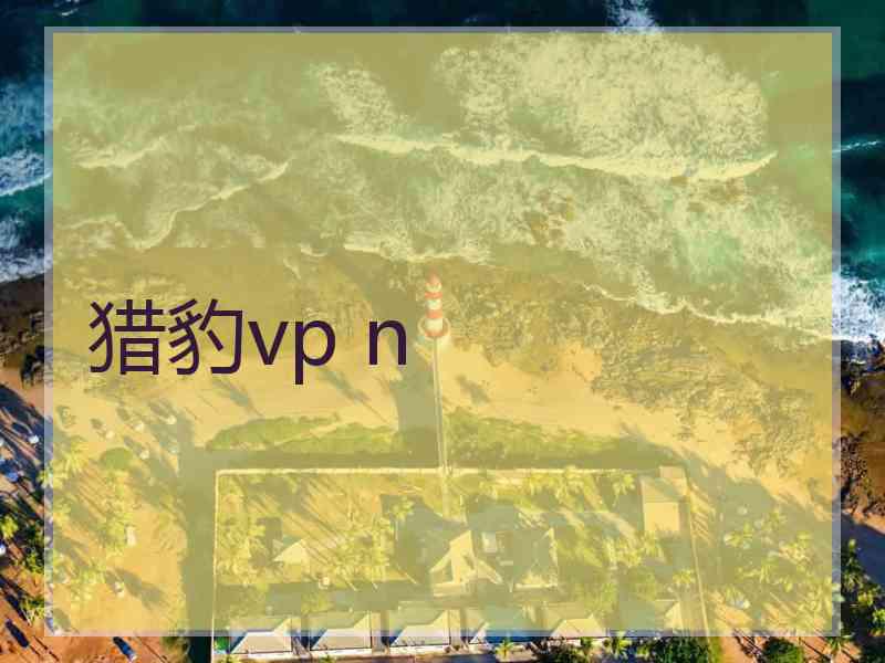 猎豹vp n