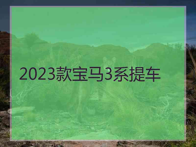 2023款宝马3系提车