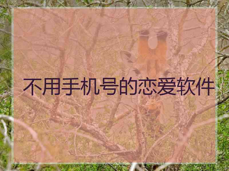 不用手机号的恋爱软件