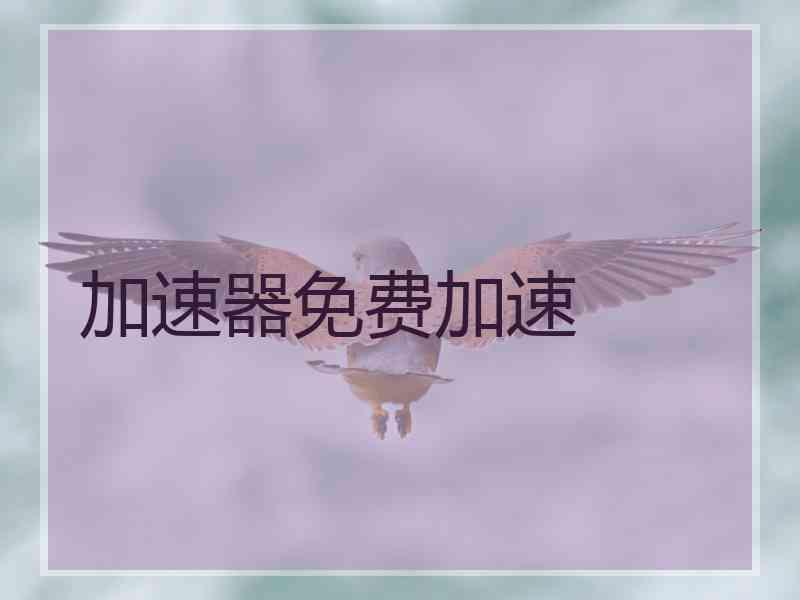 加速器免费加速