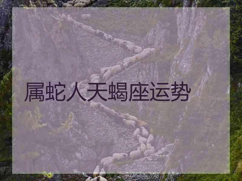 属蛇人天蝎座运势