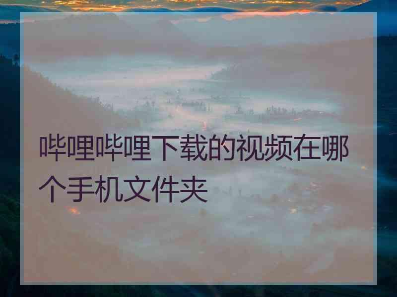 哔哩哔哩下载的视频在哪个手机文件夹