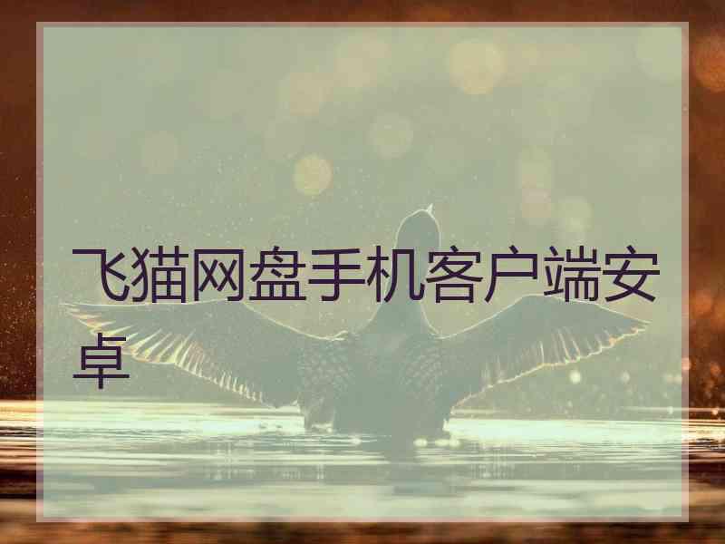 飞猫网盘手机客户端安卓