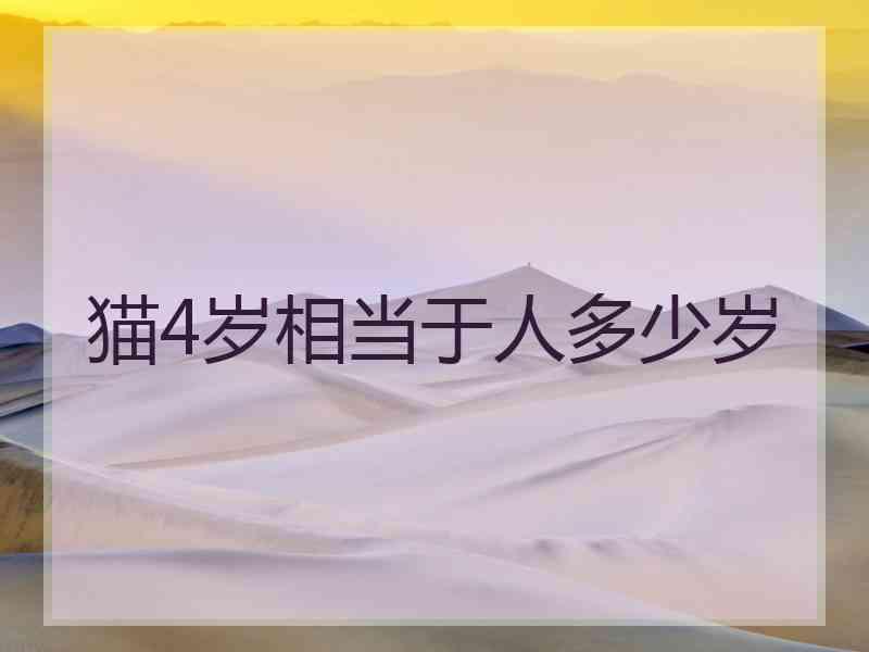 猫4岁相当于人多少岁