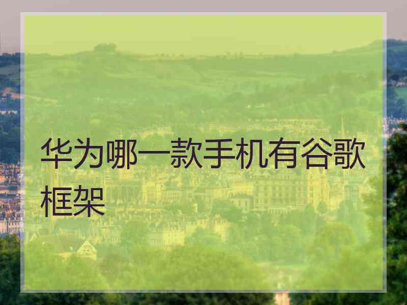 华为哪一款手机有谷歌框架