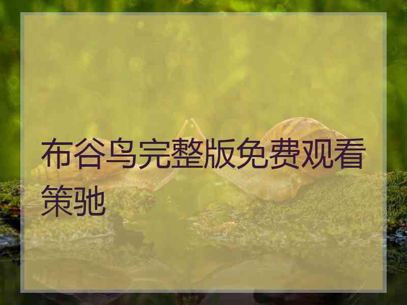 布谷鸟完整版免费观看策驰