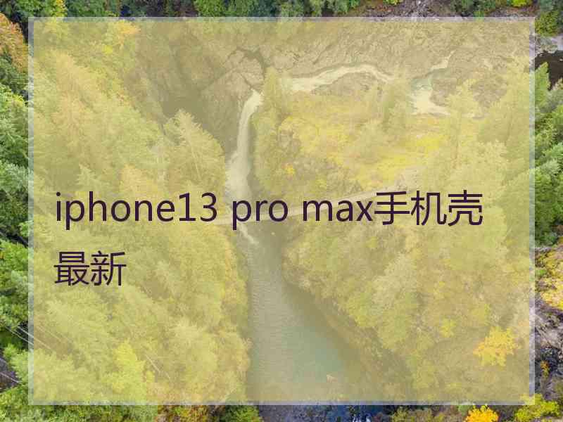 iphone13 pro max手机壳最新