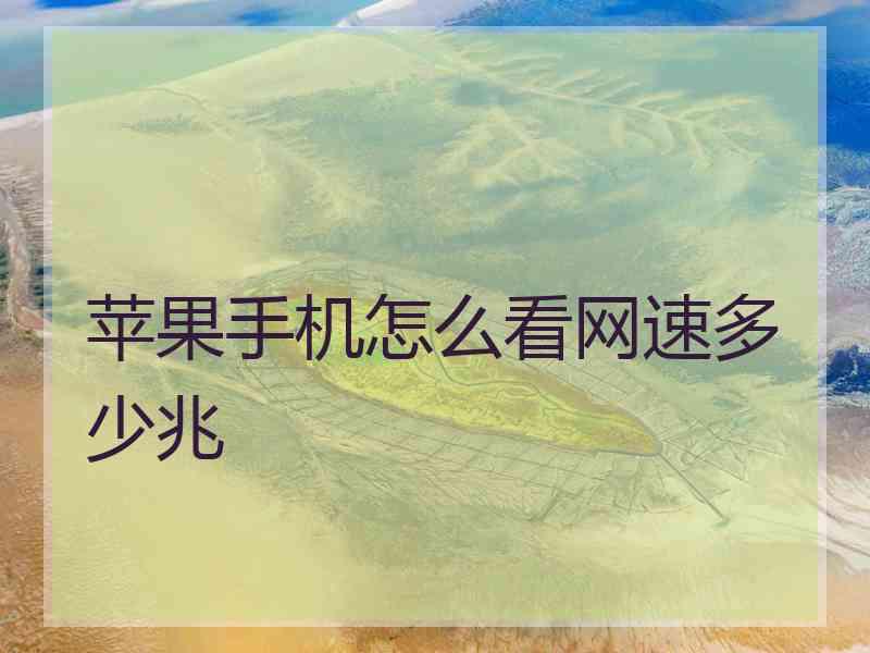 苹果手机怎么看网速多少兆