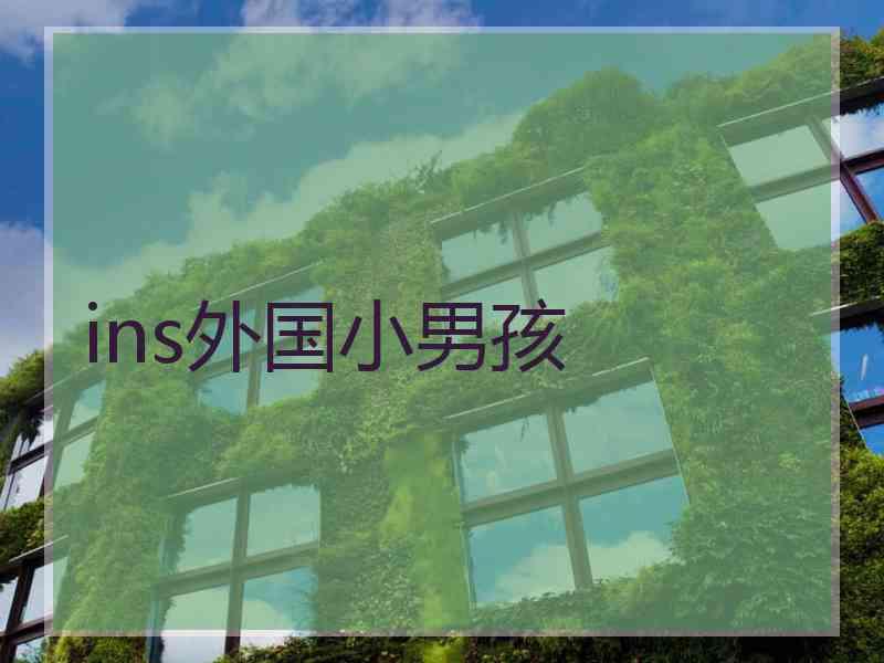 ins外国小男孩