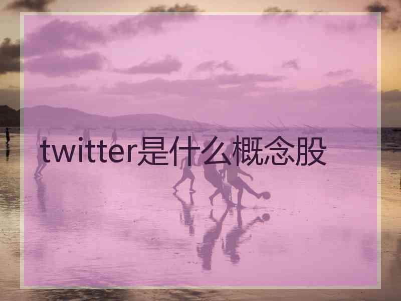 twitter是什么概念股