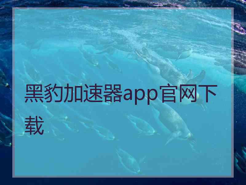 黑豹加速器app官网下载