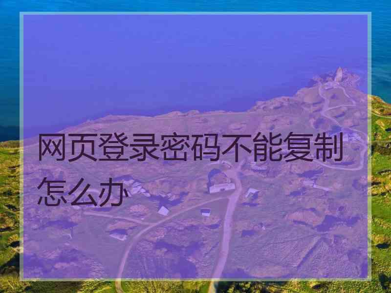 网页登录密码不能复制怎么办
