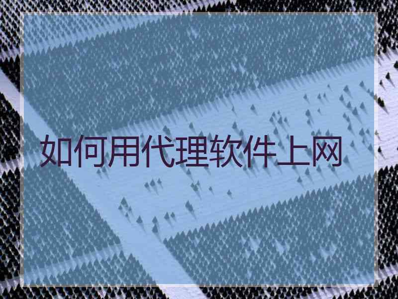 如何用代理软件上网