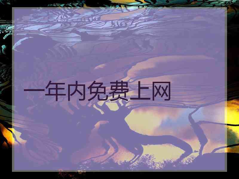 一年内免费上网