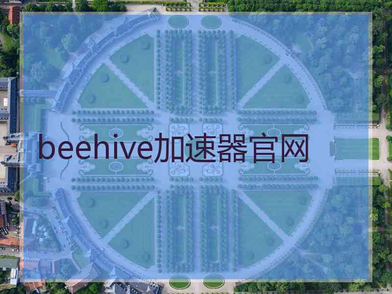 beehive加速器官网