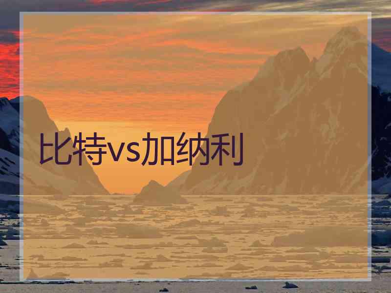 比特vs加纳利