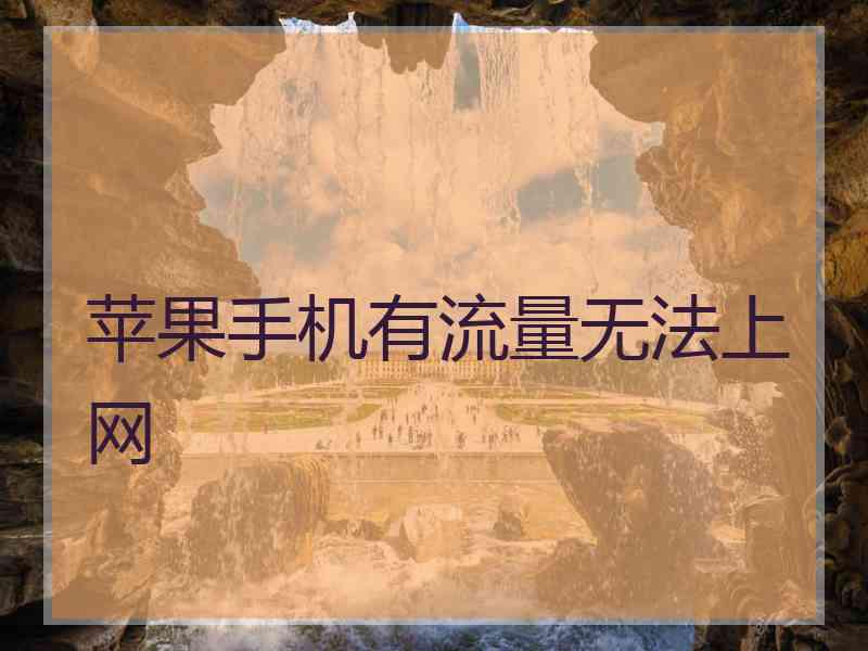 苹果手机有流量无法上网