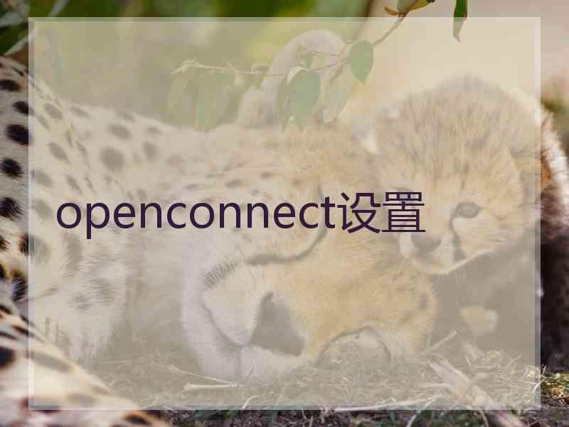 openconnect设置