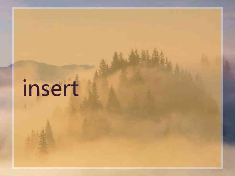 insert