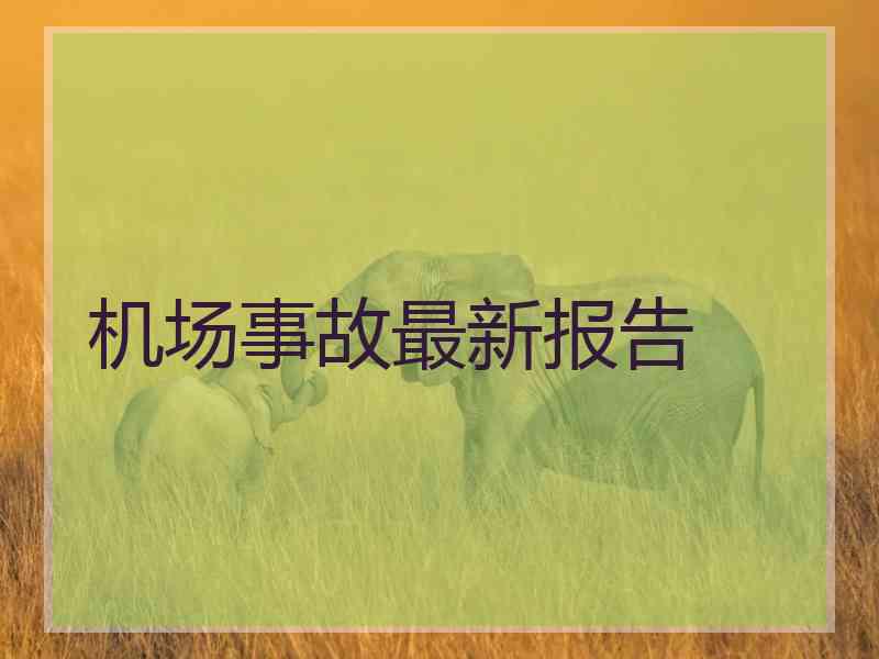 机场事故最新报告