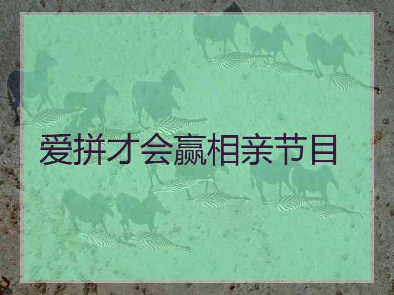 爱拼才会赢相亲节目