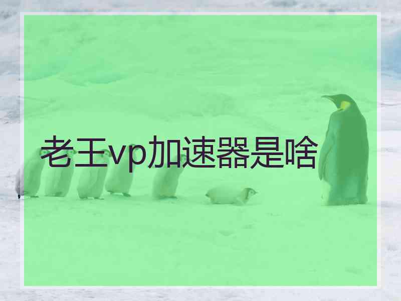 老王vp加速器是啥