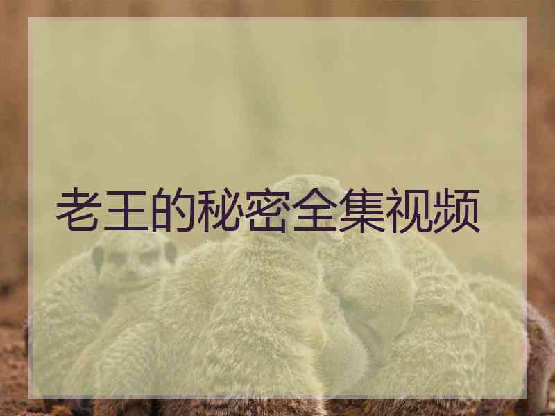 老王的秘密全集视频
